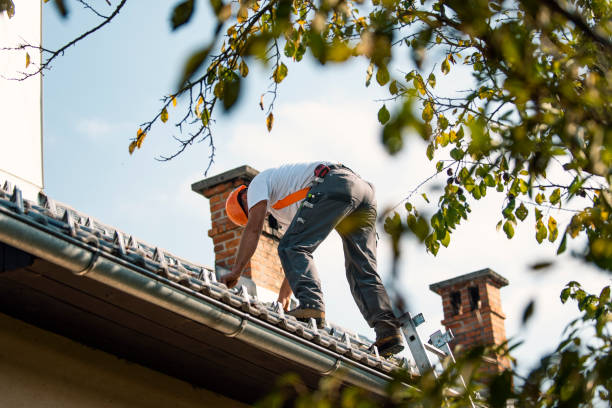 Best Roof Gutter Cleaning  in Legend Lake, WI